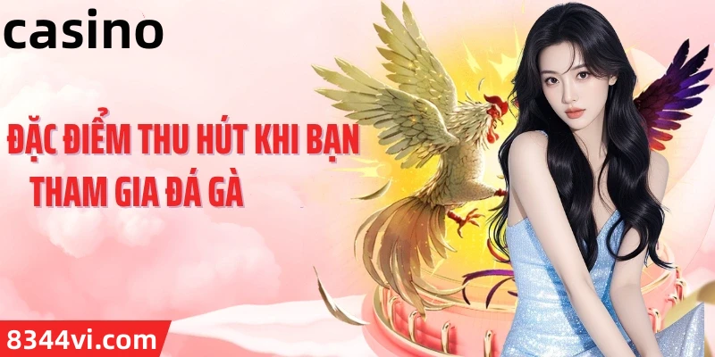 Hình ảnh quảng cáo của vn6 hiển thị nền tảng và các lợi ích