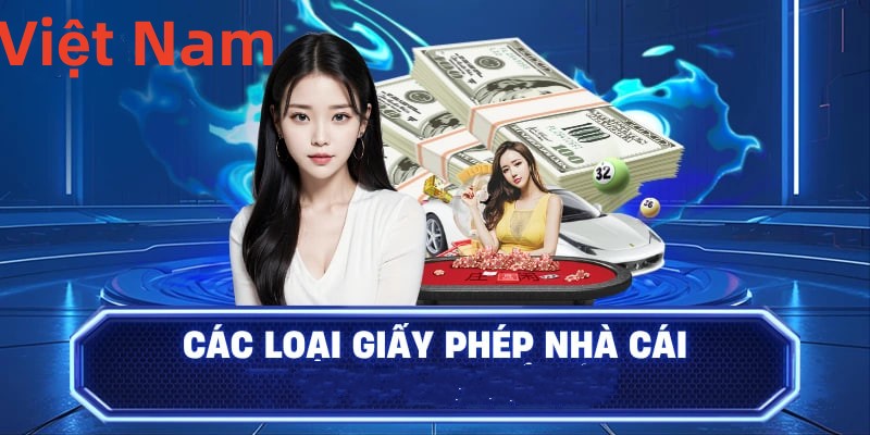 Hình ảnh quảng cáo của vn6 hiển thị nền tảng và các lợi ích